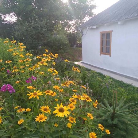 Соколине Гніздо Villa Dmitrenki Ngoại thất bức ảnh