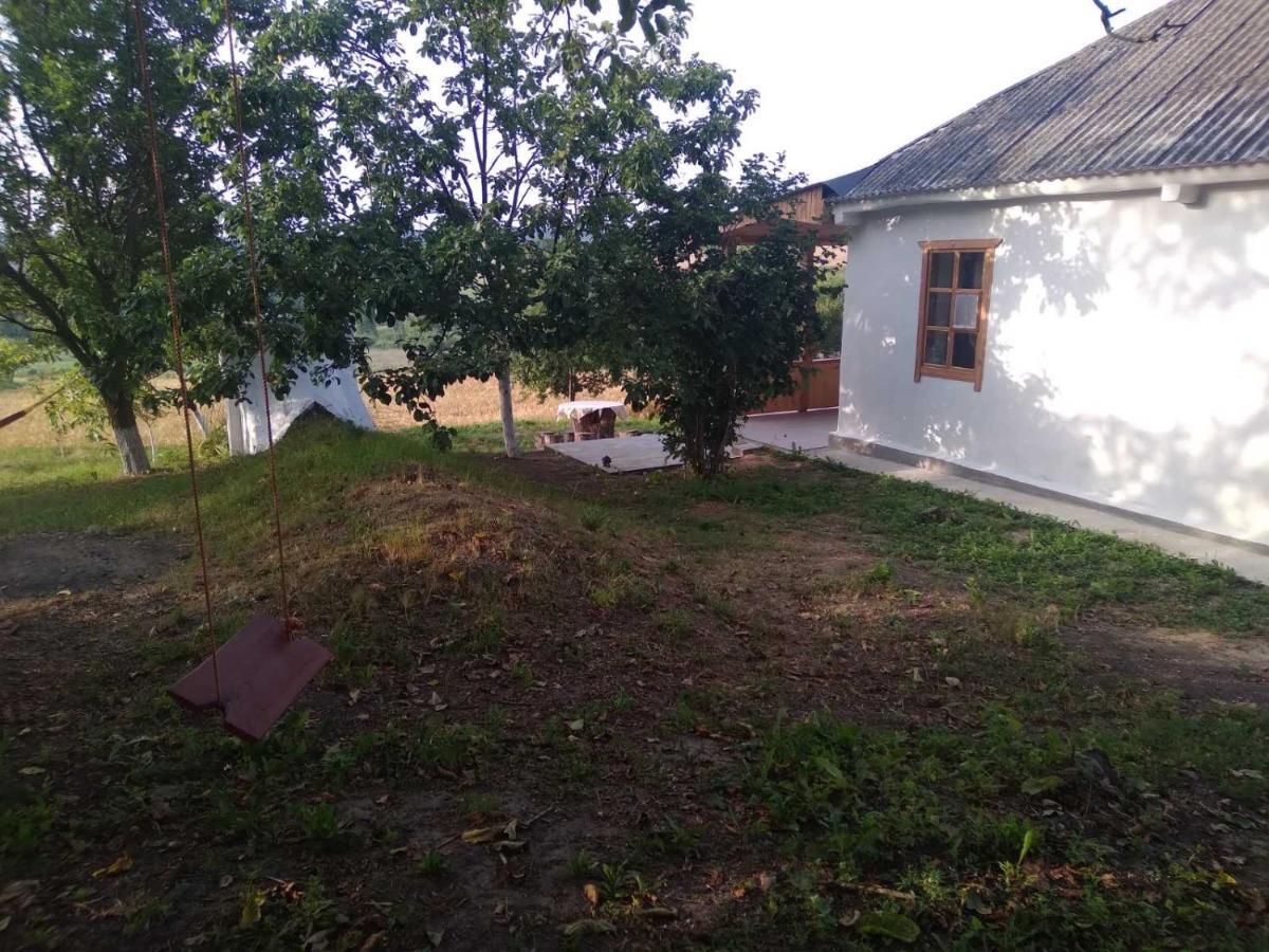 Соколине Гніздо Villa Dmitrenki Ngoại thất bức ảnh