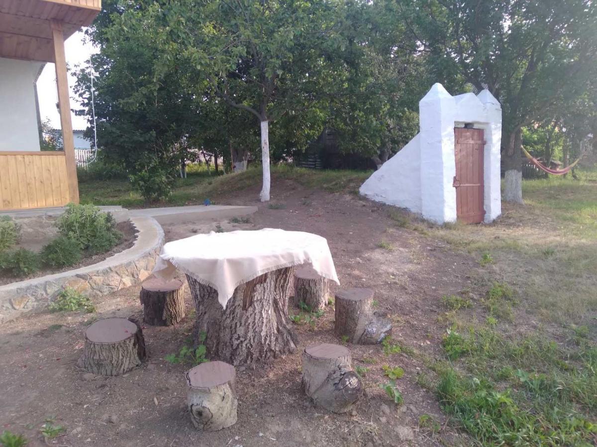 Соколине Гніздо Villa Dmitrenki Ngoại thất bức ảnh